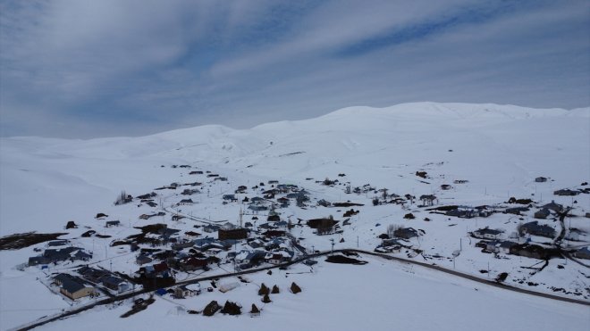 Besiciler çetin kış şartlarında hayvanlarını beslemek için zorlu mesaide