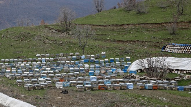 Bitlis balı, Paris'teki yarışmada "Altın Bal" ödülü aldı