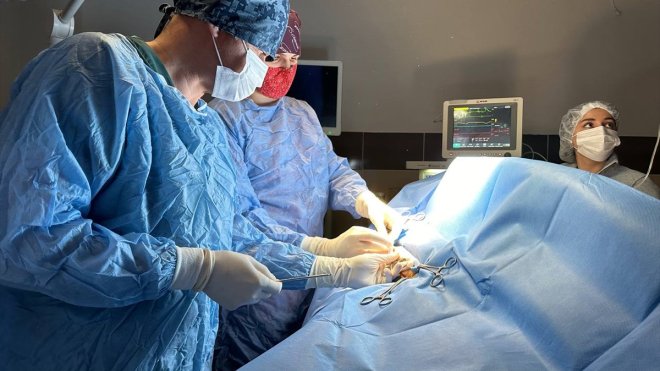 Köpekler kapalı ameliyatla kısırlaştırılmaya başlandı