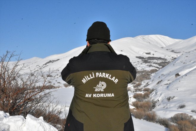 Fotokapanlardan avlanmayla gelen mücadele görüntülerle kaçak anlık ediyorlar 3