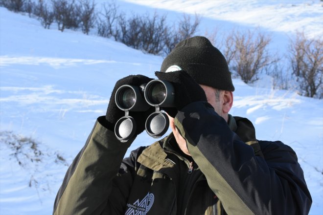 avlanmayla gelen mücadele Fotokapanlardan anlık görüntülerle kaçak ediyorlar 5