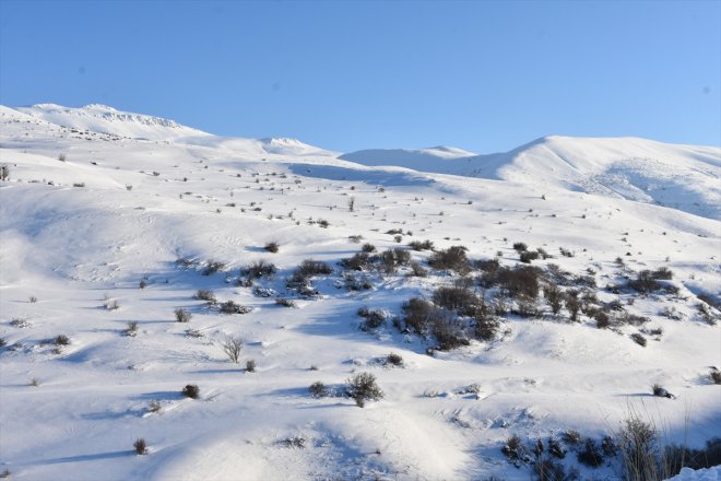 gelen mücadele Fotokapanlardan avlanmayla görüntülerle kaçak anlık ediyorlar 10