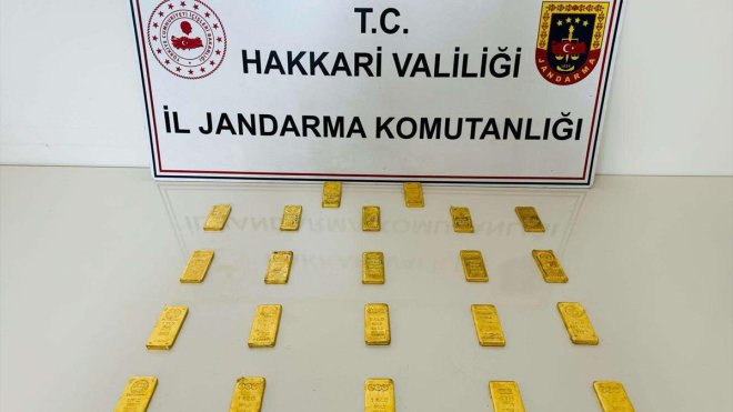 Hakkari'de birer kilogramlık 22 külçe altın ele geçirildi