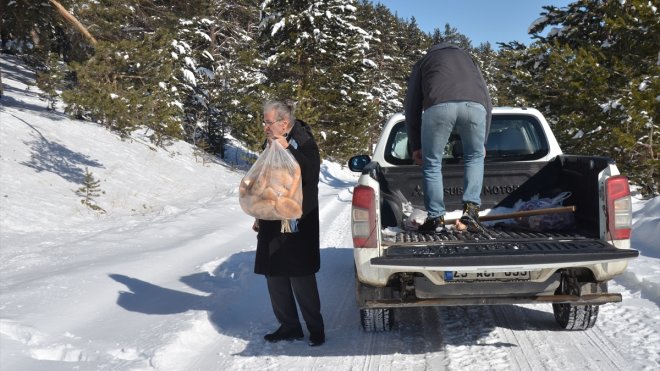 Kars'ta yaban hayvanları için karla kaplı doğaya yem bırakıldı