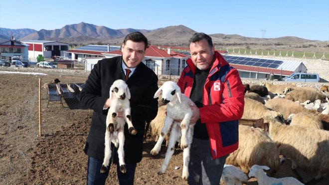 Keban Kaymakamı Atalık üreticileri ziyaret etti