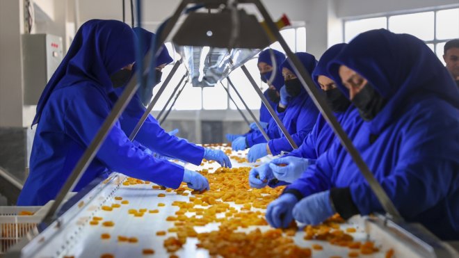 6 ŞUBAT DEPREMLERİNİN BİRİNCİ YILI - Malatya kayısısındaki rekor hedefi şehirdeki umutları da tazeleyecek