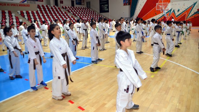 MUŞ - 250 çocuğun Karate Kuşak Terfi Töreni düzenlendi1