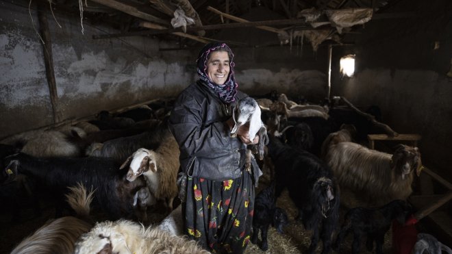 Karla kaplı Tunceli'deki köylüler hayvanları için kışın tüm zorluklarıyla mücadele ediyor