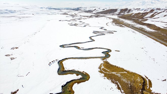 Van'ın karla kaplı arazilerinde menderes güzelliği