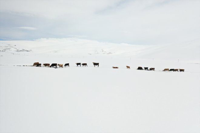 kara kış köylerinde Ağrı