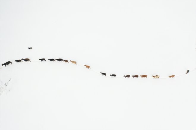 kara kırsal kış Ağrı