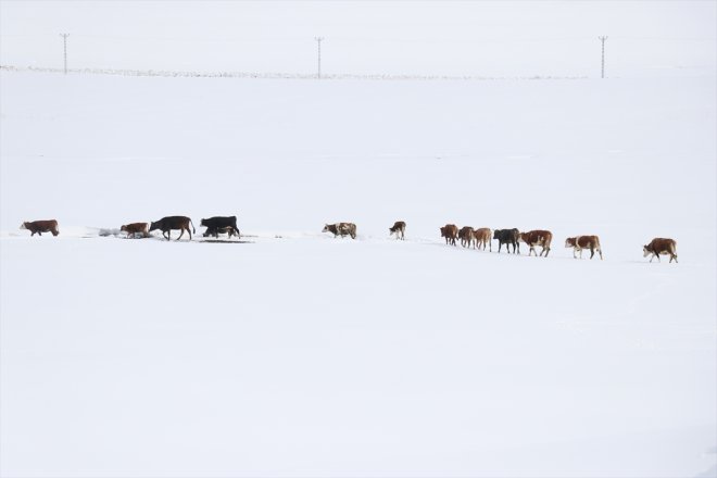 yaşanıyor kırsal Ağrı