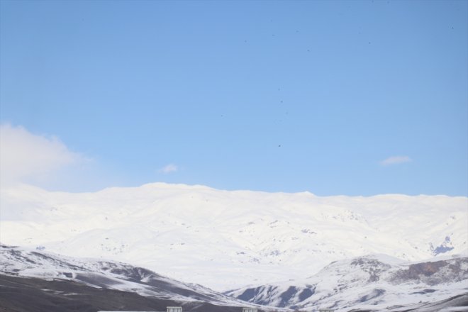 Ardahan