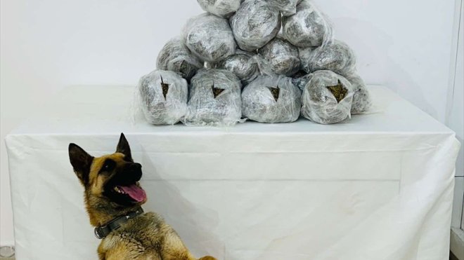 Bingöl'de 8 kilo 750 gram esrar ele geçirildi