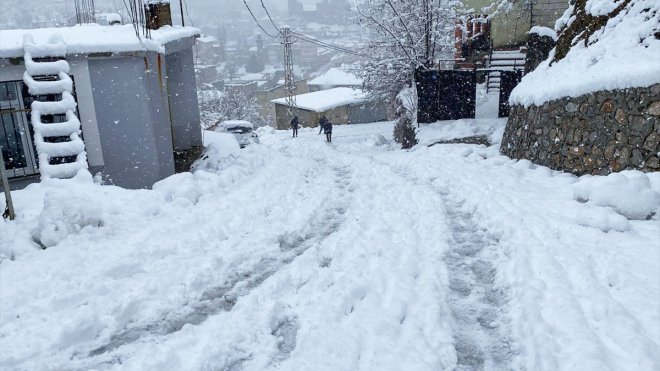 Van, Bitlis, Muş ve Hakkari'de 431 yerleşim yerinin yolu kardan kapandı