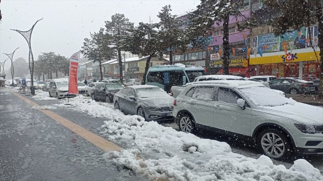 Tatvan'da kar yağışı etkili oldu