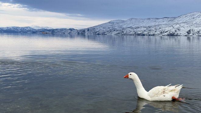 Hazarbaba Dağı ilkbaharda beyaza büründü