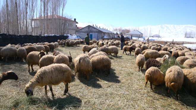 Hakkari'de gençler "Uzman Eller" projesiyle hayallerini gerçekleştirdi