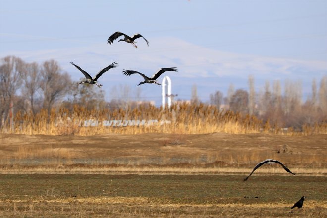 - güneyden Sulak Ağrı IĞDIR Dağı