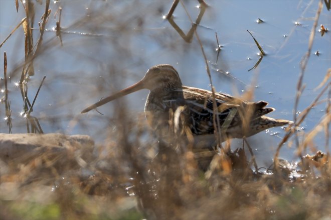 ağırlamaya Alanı, - gelen güneyden Dağı