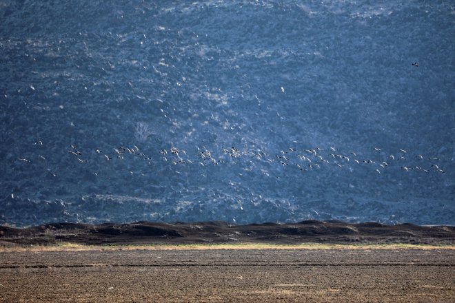 IĞDIR eteklerindeki başladı ağırlamaya Alanı, - Dağı