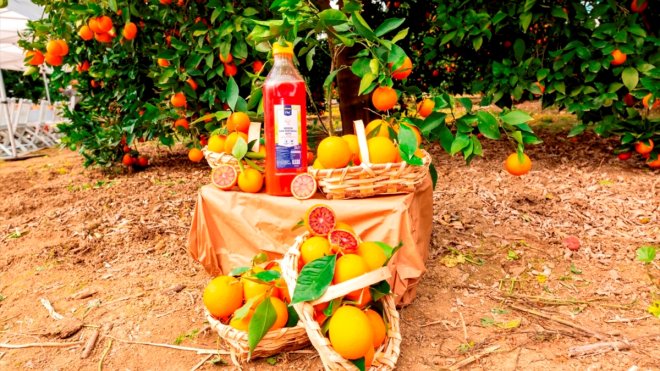 Metro Türkiye, Mersin kan portakalı suyunu tüketicilerle buluşturdu