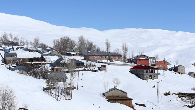 MUŞ - Bazı köylerde tek katlı evler ve ahırlar karla kaplandı1