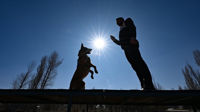 VAN - Uyuşturucuyla mücadelede jandarmanın en büyük yardımcısı dedektör köpekler1