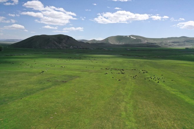 eridiği meraya hayvanlar geç köylerde karların Ağrı