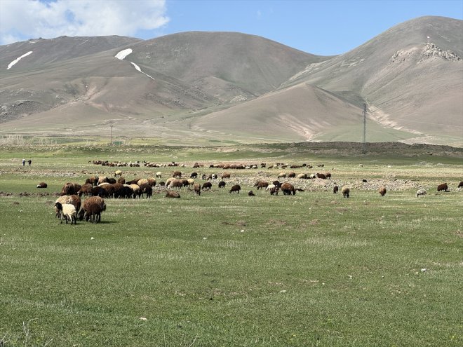 eridiği çıkarılmaya köylerde başlandı hayvanlar geç karların meraya Ağrı