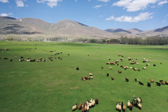 köylerde karların Ağrı