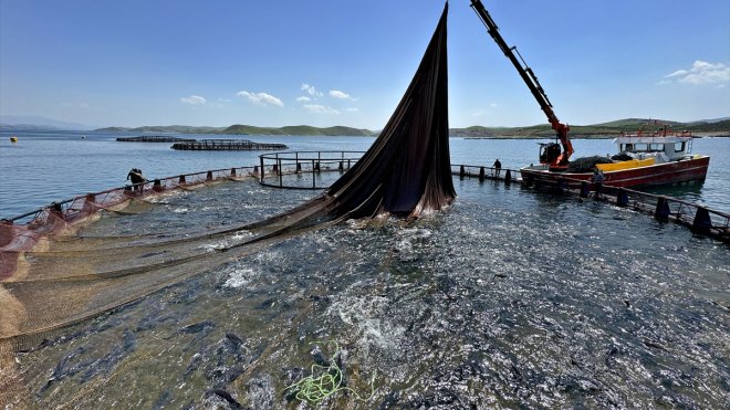 Su ürünleri ihracatında hedef 2 milyar doları geçmek