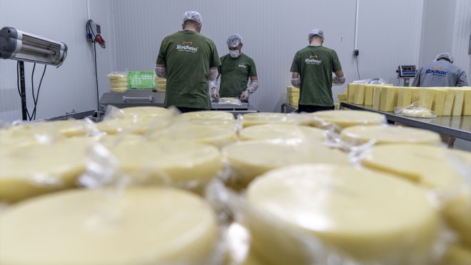 Dede mesleğini devlet desteğiyle birleştirdi, süt ürünleri üretimini artırdı