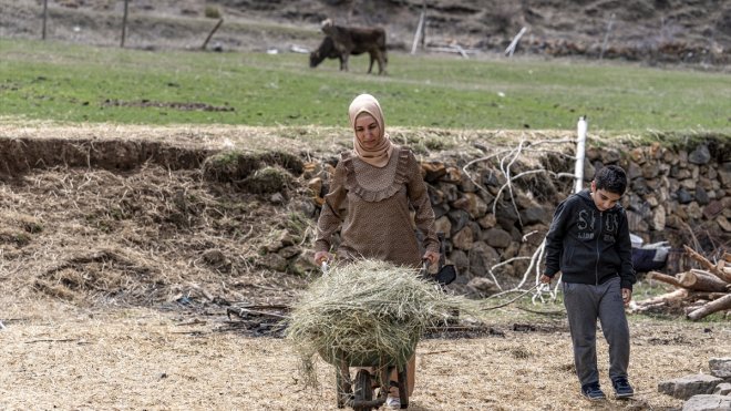 ERZURUM - Gurbetten köyüne dönen kadın devlet desteğiyle sürü sahibi oldu1