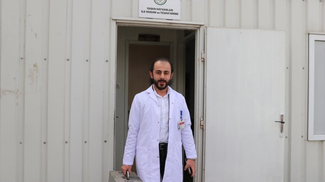 Kilometreleri önemsemeyen veteriner yabani hayvanların imdadına koşuyor