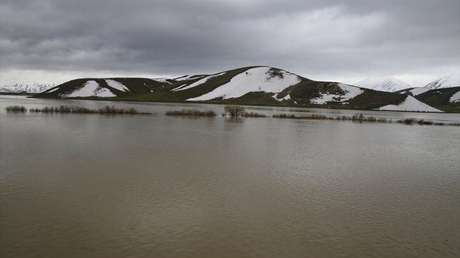 HAKKARİ - Yağışlar nedeniyle tarım arazileri ve bazı evler su altında kaldı1