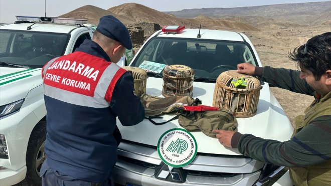 Kars'ta keklik avlayan 2 kişiye 57 bin 406 lira ceza kesildi