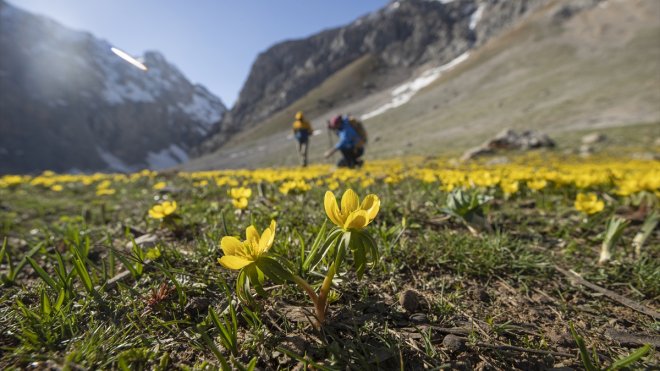 Tunceli'de karın eridiği dağ eteklerinde bahar çiçekleri açtı