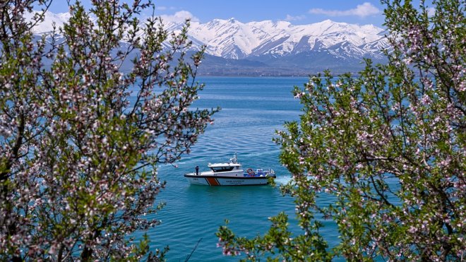 "Van Gölü'nün incisi" üreme döneminde güvenlik güçlerine emanet