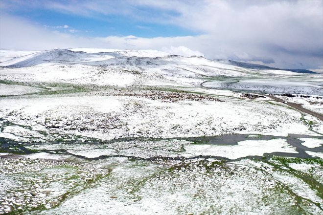 yayla yakalandı kara sürüleriyle yolundaki göçerler Ağrı