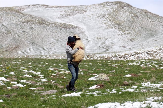 göçerler yayla kara yakalandı Ağrı