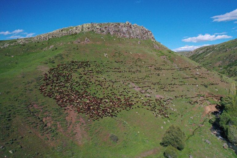 Baharın geldiği Ağrı