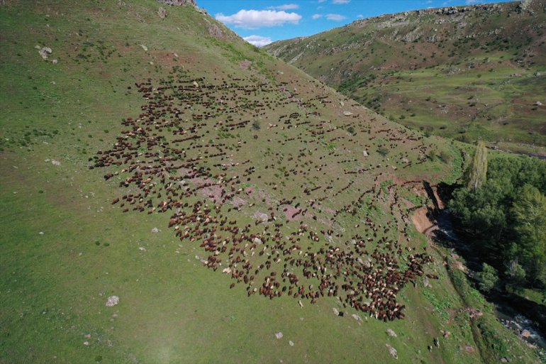 Baharın geldiği Ağrı