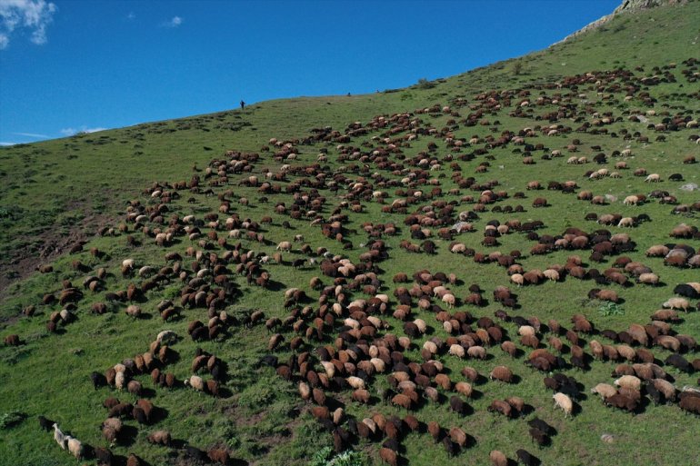 Baharın geldiği Ağrı