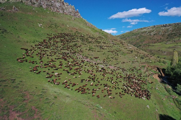 Baharın geldiği Ağrı