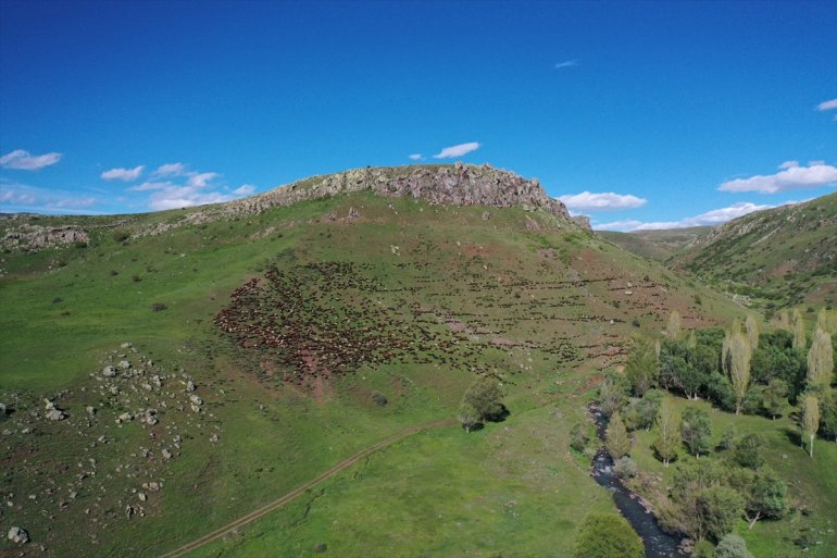 Baharın geldiği Ağrı