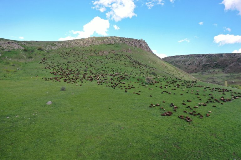 Baharın geldiği Ağrı