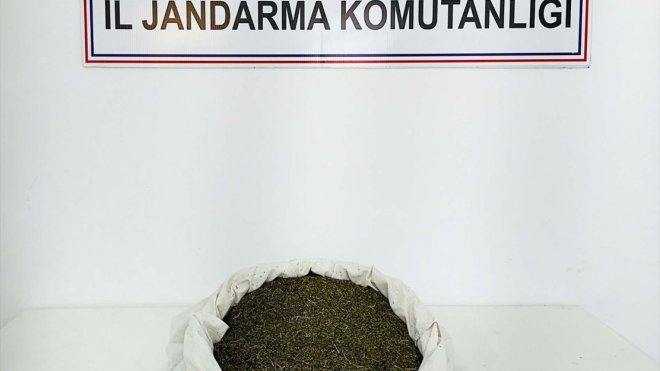 Bingöl'de 3 kilo 650 gram esrar ele geçirildi