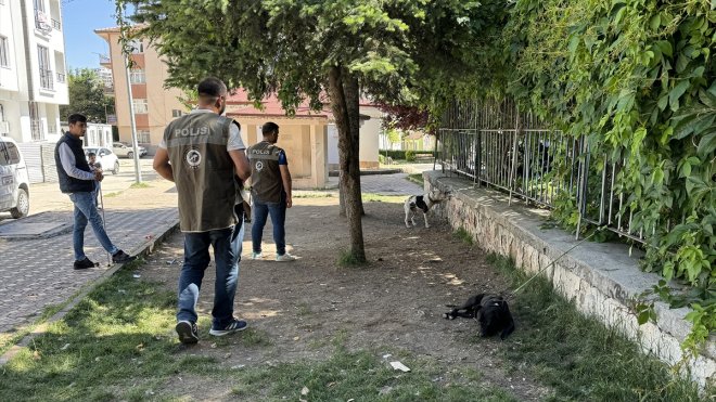 ELAZIĞ - Bakımevinde 8 yılda 6 bin 18 köpek kısırlaştırıldı1