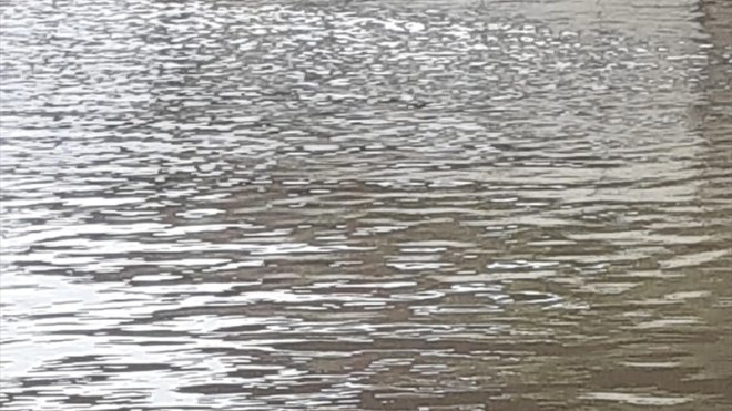 Elazığ'da sağanak hayatı olumsuz etkiledi